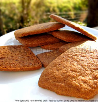 Petits biscuits façon Speculoos…maison !
