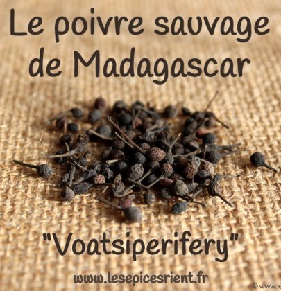 Le poivre sauvage de Madagascar, un petit poivre malicieux !