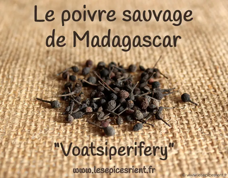 Poivre sauvage de Madagascar